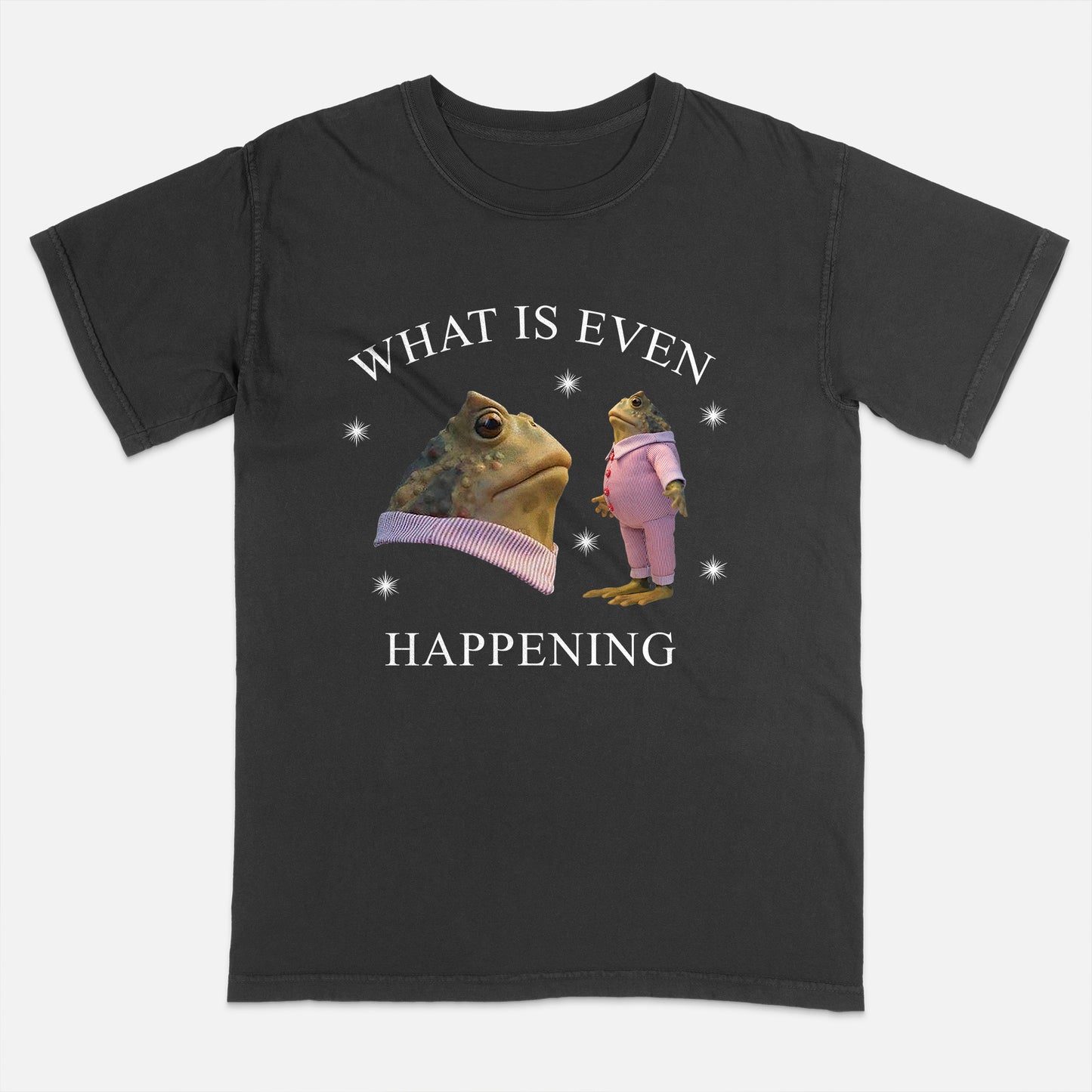 Funny Frog Shirt – What Is Even Happening – Absurd Meme Humor Tee – Black – Up To 5XL