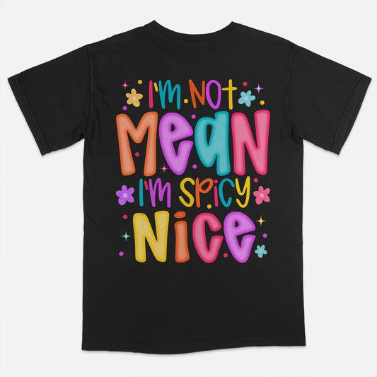 Spicy Personality Shirt – I’m Not Mean I’m Nice Tee – Funny Sarcastic Shirt for Women - Black- Up To 5XL