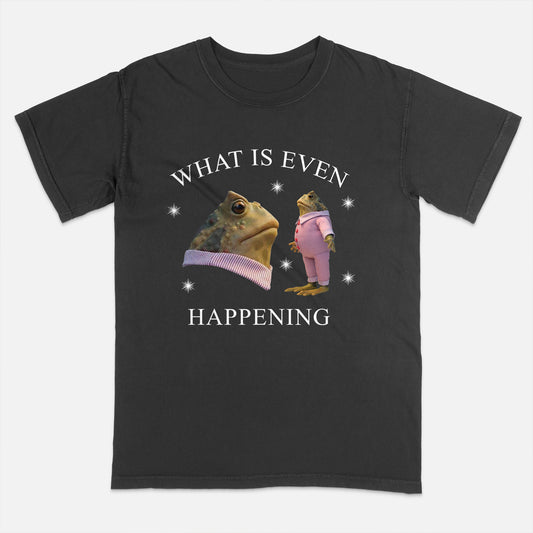 Funny Frog Shirt – What Is Even Happening – Absurd Meme Humor Tee – Black – Up To 5XL